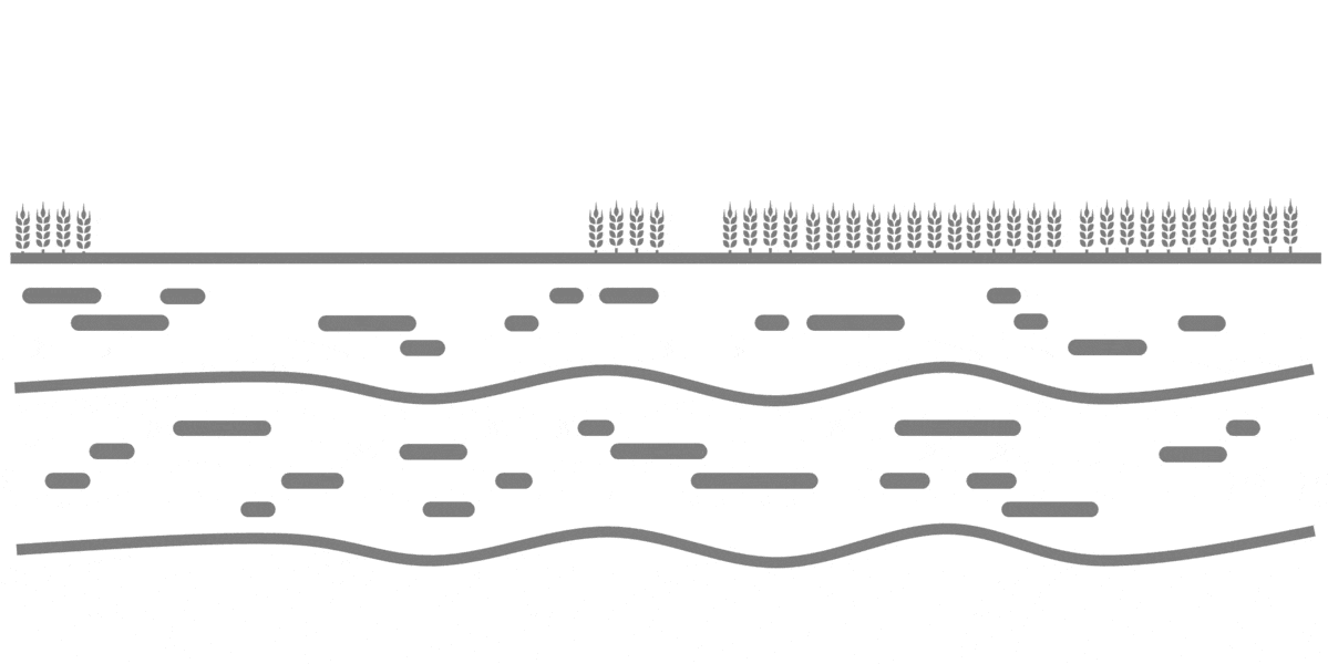 Schema semplificato del ciclo dell'azoto proveniente da reflui zootecnici nel suolo